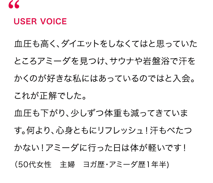 USER VOICE