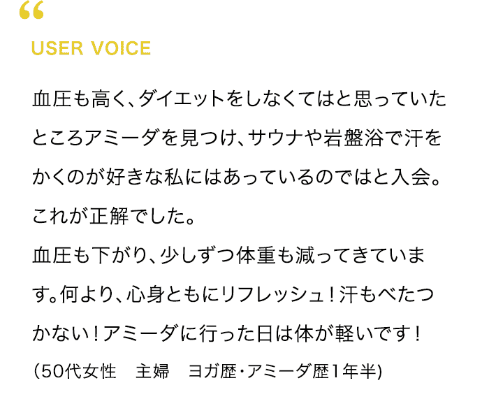 USER VOICE