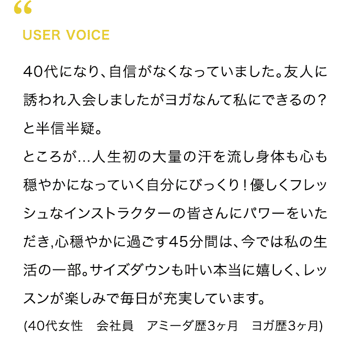 USER VOICE
