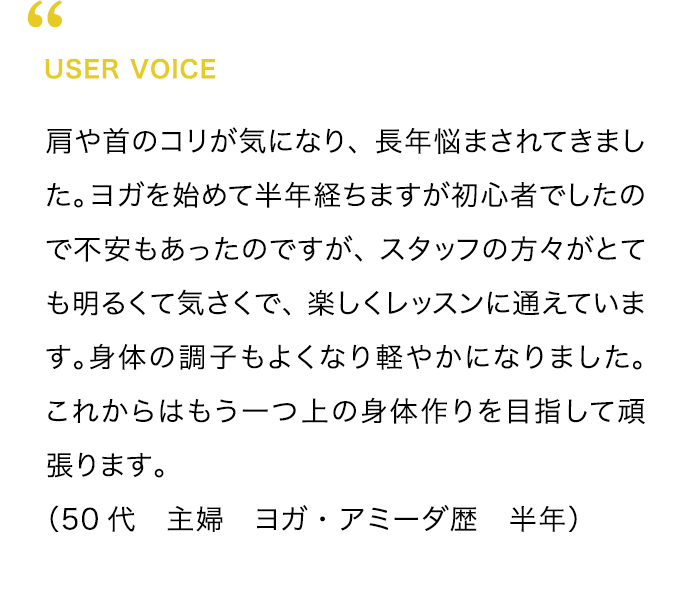 USER VOICE
