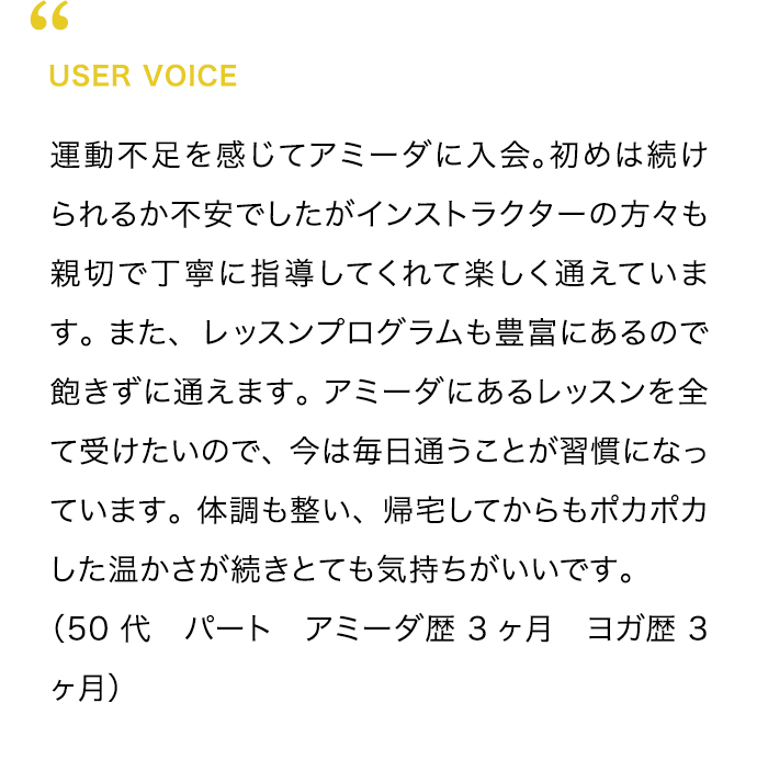 USER VOICE