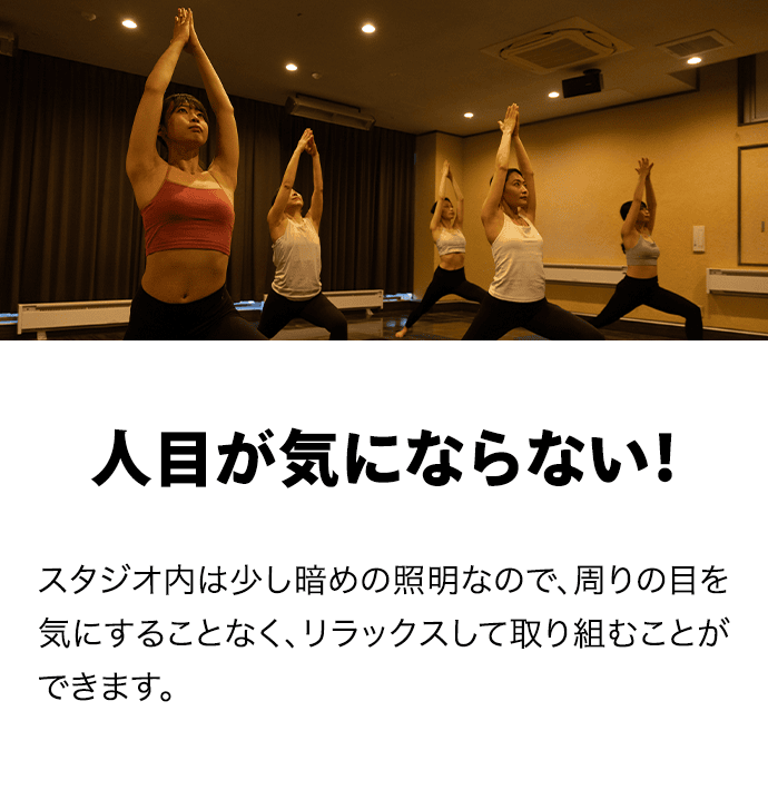 USER VOICE