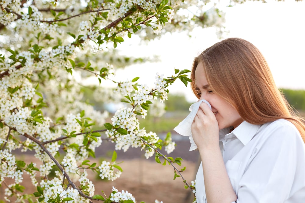 ヨガは花粉症対策にも効果がある？